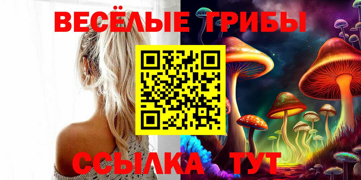 Галлюциногенные грибы Magic Shrooms Луга